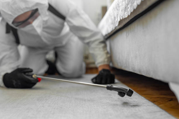 Professional Bed Bug Control technician working in Wilkesboro, NC